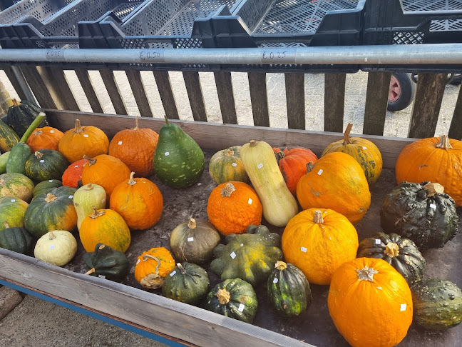 Schotbroekweg 2, 7591 ND Denekamp