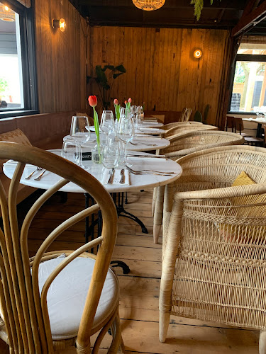 Comentarii opinii despre OASE Schellinkhout