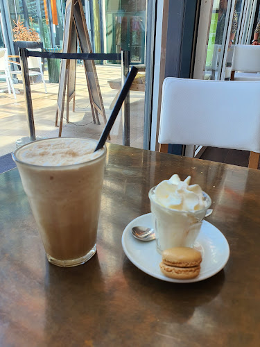 Barista Cafe - Rotterdam