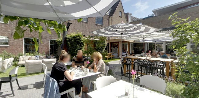 Comentarii opinii despre Meneer Frans