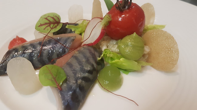 Opinii despre Hoff'nar în Dordrecht - Horeca