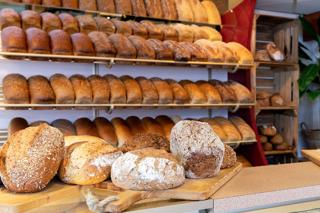 Opinii despre Bakkerij Nollen Deventer Vijfhoek în Deventer - Horeca