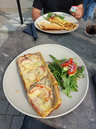 Comentarii opinii despre Dwarsligger