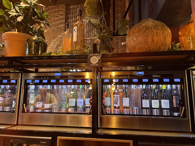 Comentarii opinii despre 't Taphuys