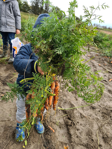 Opinii despre Beleef Het En Eet Het în Strijen - Horeca