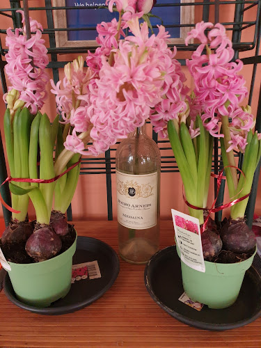 Lange Breestraat 3, 3311 VK Dordrecht