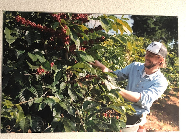 Comentarii opinii despre Keen Coffee Roastery