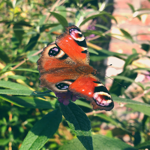 Bandito Espresso City Centre - Horeca