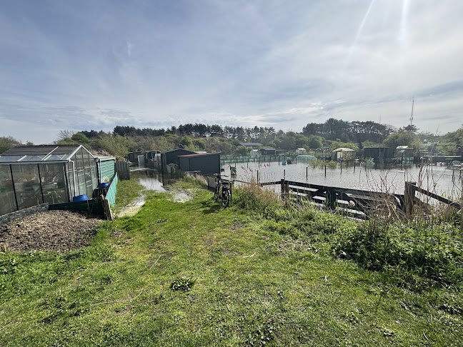 Comentarii opinii despre Diner