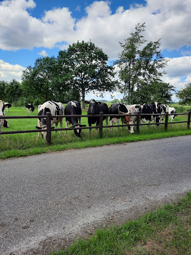 Westersânning, 9216 XH Oudega Gem Smallingerlnd