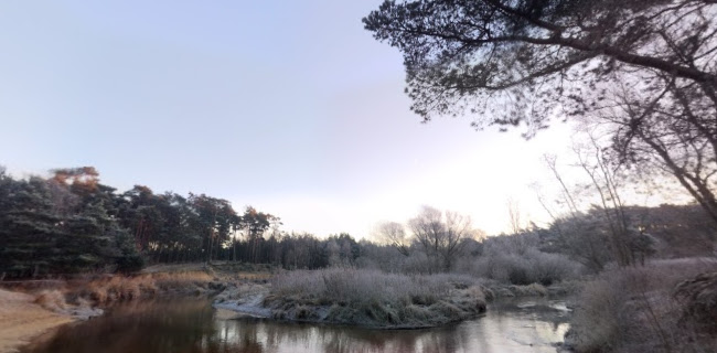 Reviews of Restaurant Paviljoen Lutterzand in De Lutte - Horeca