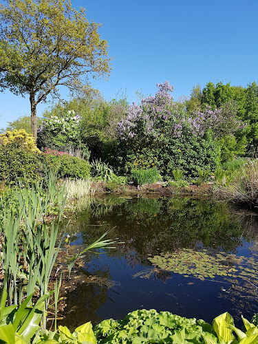 Kopje Genieten - Sellingen