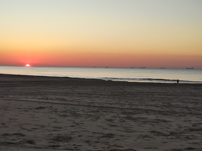 Strandpaviljoen SandCbar - Horeca