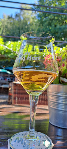 Opinii despre Boscafé 't Hijgend Hert în Vijlen - Horeca