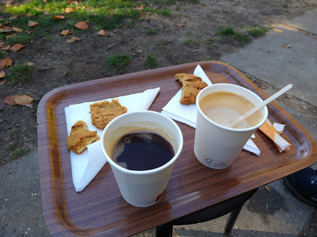 Comentarii opinii despre Bloem