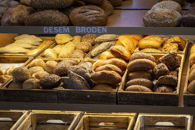 Comentarii opinii despre Bakker Klink