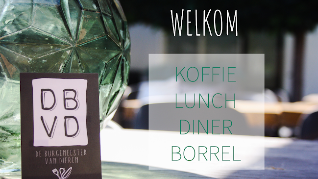 De Burgemeester van Dieren - Dieren