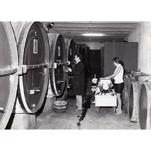 Time to Wine - Horeca