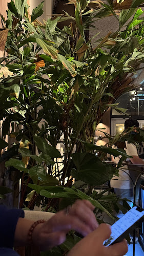 Comentarii opinii despre Dodici