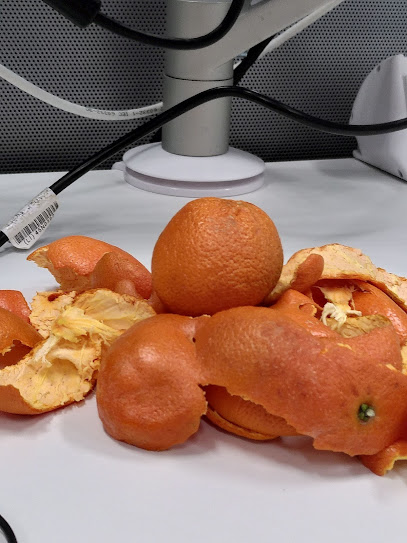 Buurthuis 'Het Geschilde Tomaatje'