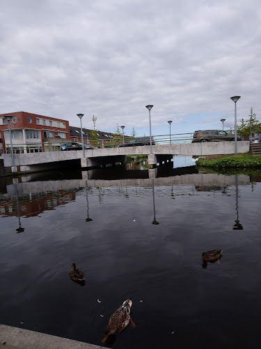 Mister Ako - Zaandijk