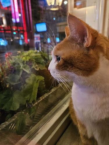 Trattoria Fantasia - Amsterdam