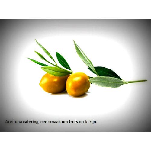 Aceituna B.V. - Rotterdam