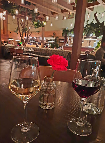 Opinii despre VESSEL în Amsterdam - Horeca