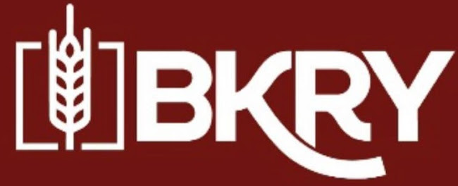 Comentarii opinii despre Pide BKRY