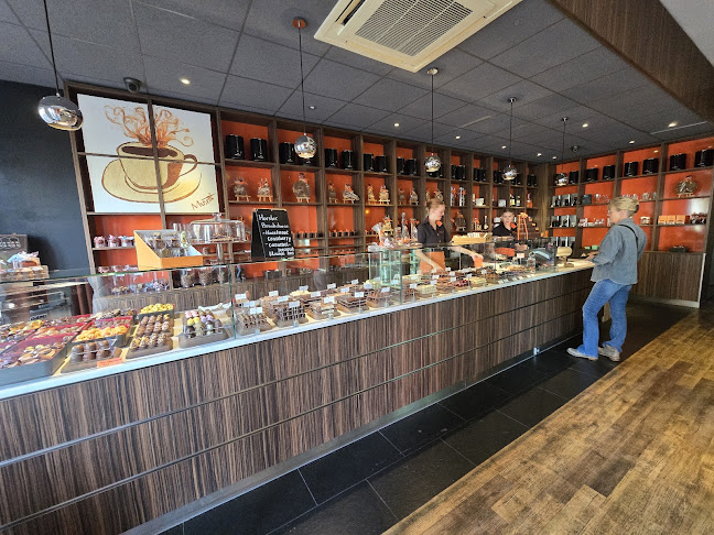 Comments and reviews of Passi