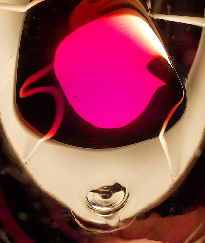 Comentarii opinii despre Paul Brasz-Wijnen