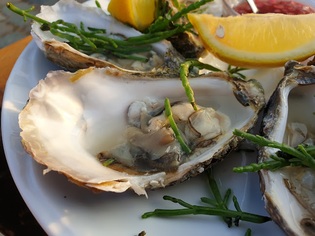 Comentarii opinii despre Harbour Café