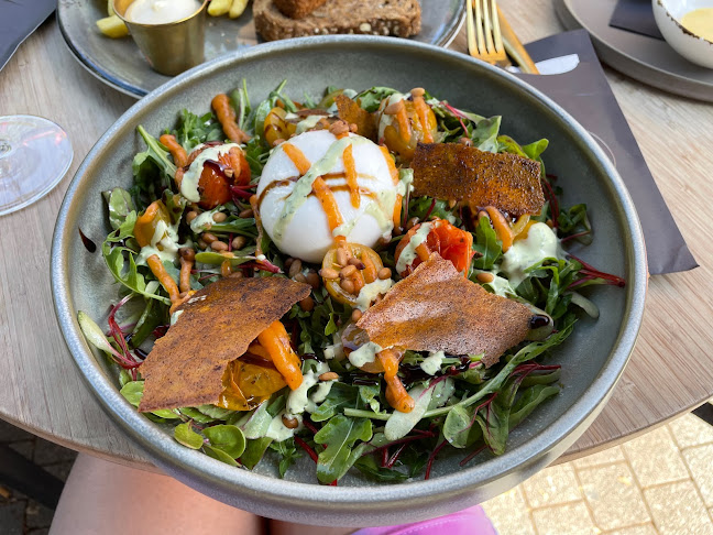 Comentarii opinii despre De Tyd