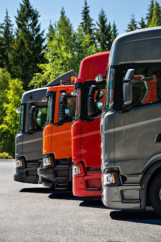 Opinii despre Bar Terpstra în Damwâld - Horeca