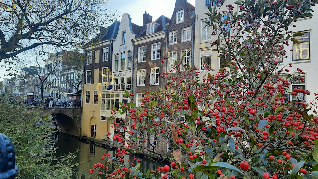 Comentarii opinii despre River Kwai