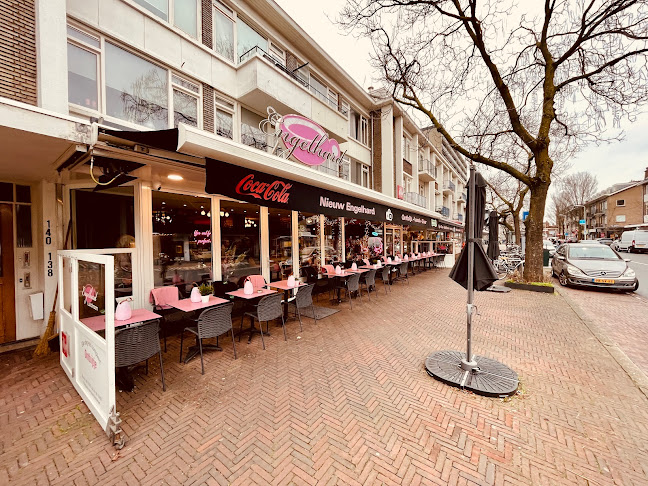 Theresiastraat 142, 2593 AT Den Haag