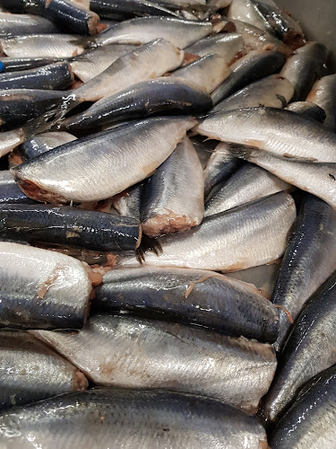 Comentarii opinii despre Neptunus BV