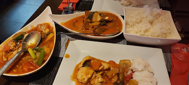 Comentarii opinii despre Thaicoon B.V.