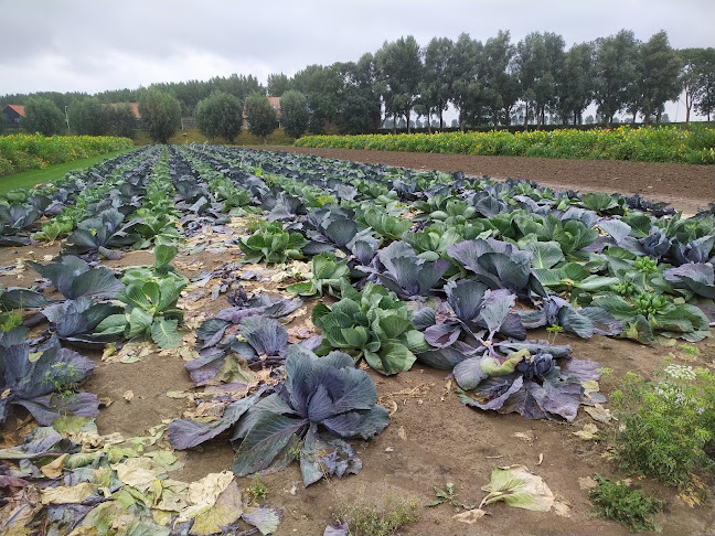 Groot Cromstrijensedijk 17A, 3291 LD Strijen