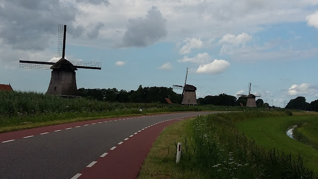 Barista Sisters - Horeca