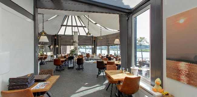 Comentarii opinii despre Baron Frits