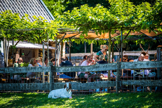 Comentarii opinii despre Boscafé 't Hijgend Hert