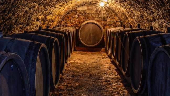 Burgemeester van Alphenstraat 61, 2041 KG Zandvoort, Nederland