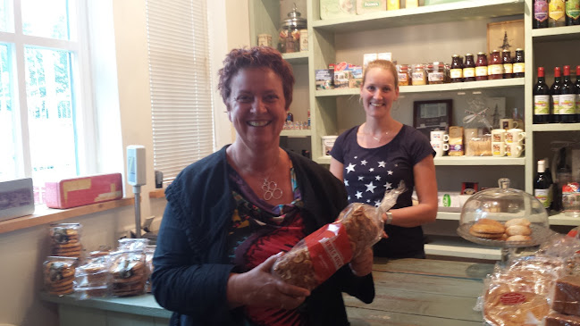 Comentarii opinii despre Knol's Koek