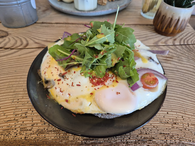 Comentarii opinii despre STEK Leeuwarden