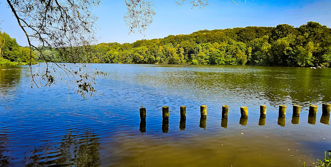 Hof Kasteel Erenstein - Horeca