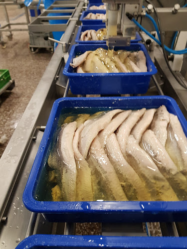 Comentarii opinii despre Neptunus BV