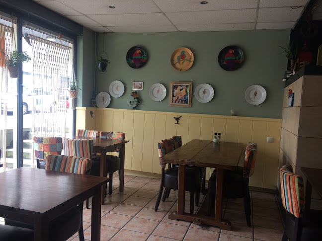 Apericena-Trattoria il Pappagallo