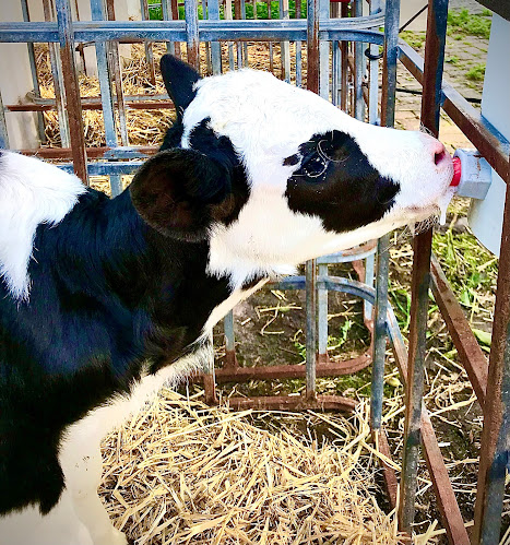 Boerderij Terras de Ritskampen Phone number