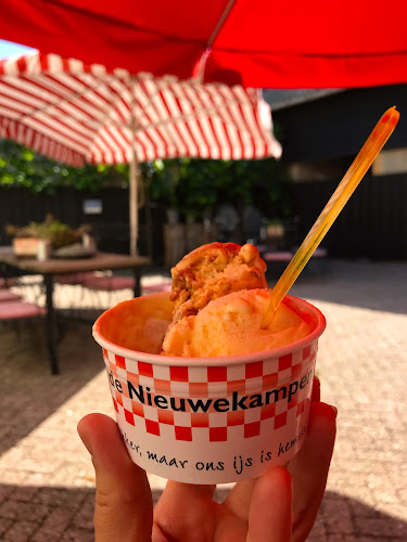 Opinii despre Leeijen EAM & AJM Ijsboerderij în Vinkel - Horeca